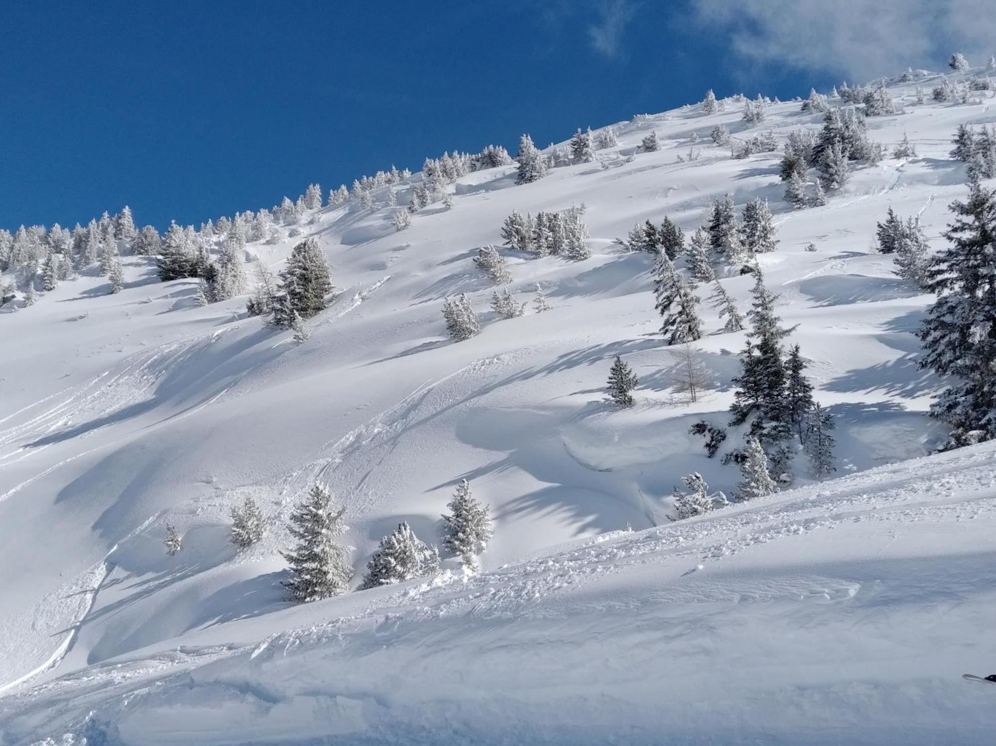 Chalet Walser A Vallorcine 13 Kms Chamonix France Εξωτερικό φωτογραφία